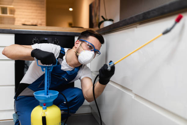 Trusted Paoli, IN Pest Control Experts