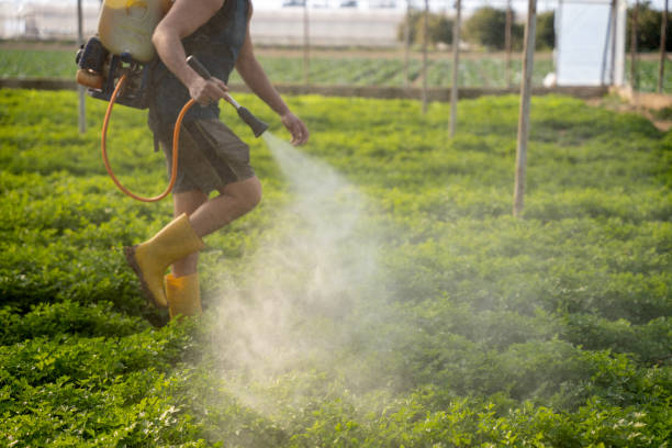 Best Pest Control Near Me  in Paoli, IN