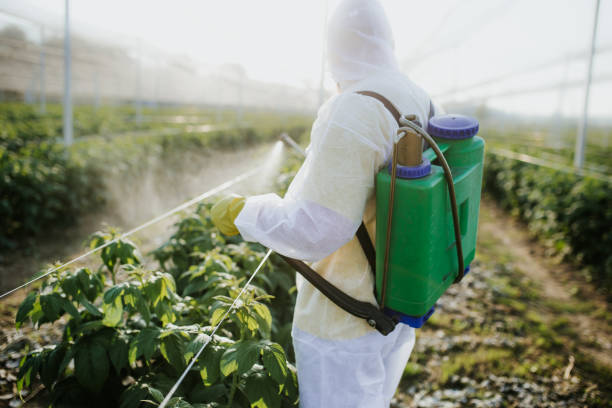Best Pest Prevention Services  in Paoli, IN